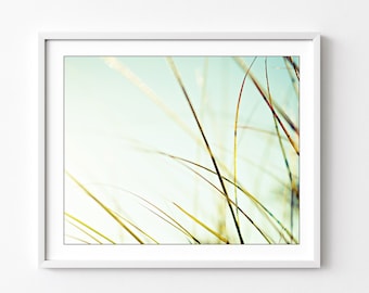 Beach Grass Botanical Print Pale Blue Green Wall Art, Nature Photography, Aqua Mint, Minimal Nature Wall Art, Beach Decor