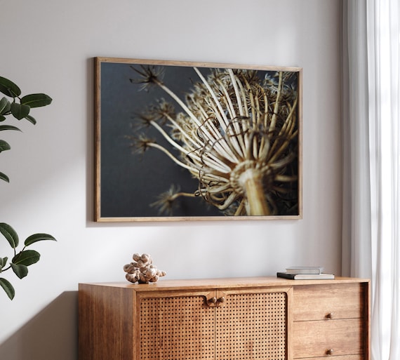 Queen Anne's Lace Print - Nature Photography, Minimal Modern Rustic Art, Still Life Photography, Gray Brown Earthy Decor, 11x14 18x24 Print