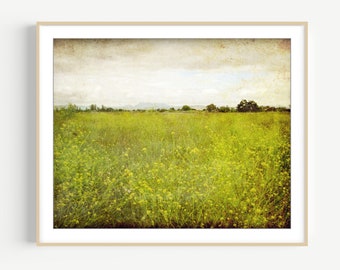 Landscape Photograph - Flower Meadow, Rustic Wall Art, Olive Green, Country Wall Art, 8x10 11x14 16x20, Nature Photography