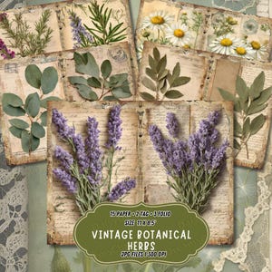 Kit de diario basura de hierbas botánicas / Hoja de collage de botánica vintage / Página de diario digital de hierbas / Etiqueta y folio vintage de plantas / Descarga digital