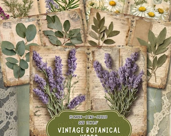 Vintage Botanical Herbs Junk Journal Kit: Collage Pages (Digital Download)