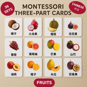 FRÜCHTE Montessori dreiteilige Karten (CHINESISCH) - druckbares Set von 36 Karteikarten für Kleinkinder & Vorschulkinder