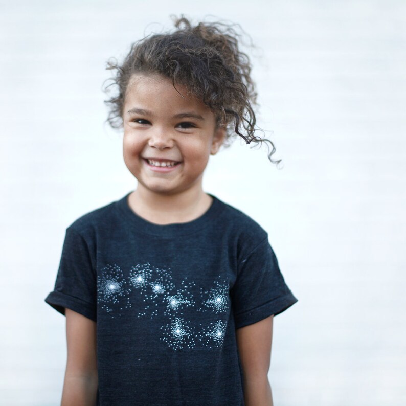 Big Sister Little Sister Matching Shirts, Sibling T-Shirt Set, Big Dipper and Little Dipper Constellation Screen Print image 4