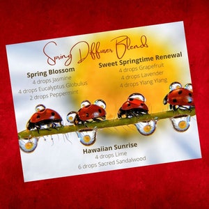 Spring Diffuser Blends Postcard