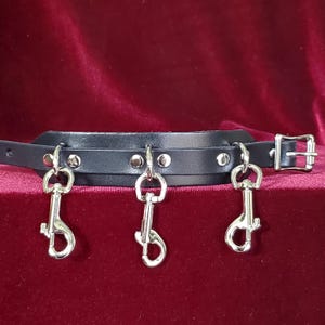 Peut inclure: Collier en cuir noir avec trois crochets à ressort argentés. Le collier a une fermeture à boucle.