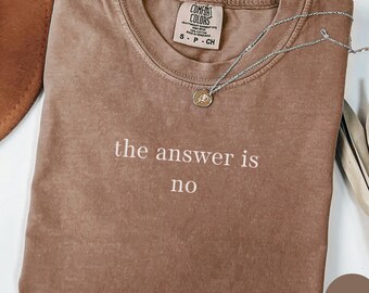 May include: Espresso-coloured t-shirt with the text "the answer is no" in white. The shirt has a crew neck and short sleeves. A silver necklace with a small pendant is draped across the shirt. A brown hat is visible in the background.