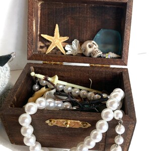 The Pirate Rat and His Treasure Chest image 4