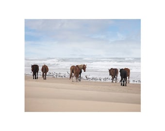 Together • Wild Horses Photography, Ocean Waves, Outer Banks Print or Canvas, Horse Harem Photograph, Large Wall Art, OBX, Spanish Mustangs