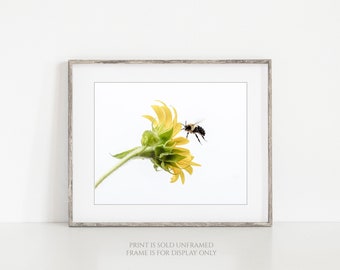 Honey Bee on Sunflower Photograph, Botanical Photography, Yellow Flower Print or Canvas, Nature Décor, Floral Picture, Wall Art - Honey Bee