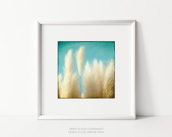 Nature Photography, Botanical Art Print or Canvas, Nature Wall Art, Beach Sea Grass Art, Pampas Grass, Square, Coastal Wall Decor - Soft