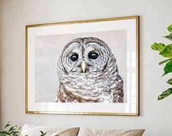 Barred Owl Photograph Art Print, Bird of Prey Large Wall Art, Wildlife Photo, Woodland Animal Print, Farmhouse Decor, Bird Photography- Hoot