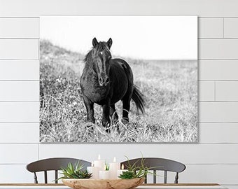 Wild Horse Photography, Spanish Mustang, Black Stallion Photo, Large Wall Art Photograph, Black and White Fine Art Print - Steady Gaze