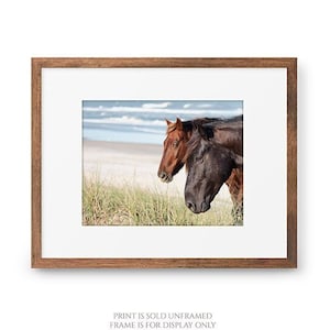 The Wild Pair Horses on the Beach Photography, Wild Spanish Mustangs Photograph, Room Decor, Large Wall Art, OBX Photo, Outer Banks Print image 2