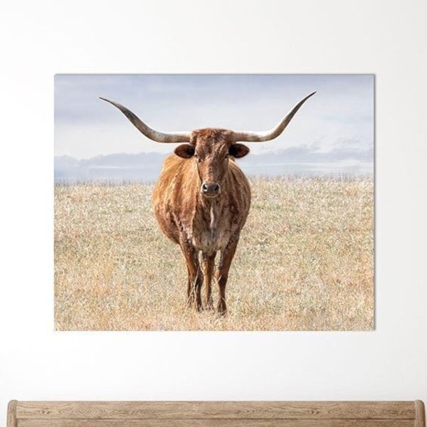 Texas Longhorn 2 • Longhorn Cow Photograph, Texas Cattle Picture, Farm Animal Photography, Western Home Photo, Large Wall Art. Cow Print