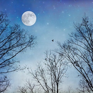 Moon Dreams Full Moon Stars & Winter Trees Print, Black Birds, Blue Sky, Dreamy Night, Large Wall Art, Celestial Nursery Décor, Twilight image 2
