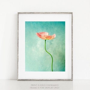 Simply Pink Poppy Flower Photography, Minimalist Floral Print, Gift for Home, Botanical Photo, Teal Green, Pastel Colors, Nature Wall Art image 1