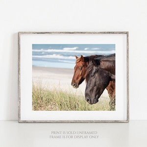 The Wild Pair Horses on the Beach Photography, Wild Spanish Mustangs Photograph, Room Decor, Large Wall Art, OBX Photo, Outer Banks Print image 1