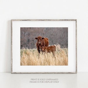 Mother&#39;s Love • Mother Cow Calf Photography Print, Mothers Day, Red Angus Photo, Baby or Kids Room Decor, Wall Art, Farm Animal Photograph