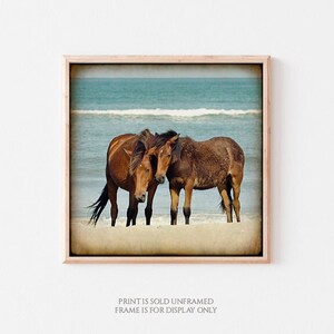 Mare & Colt Wild Horses on Beach, Coastal Décor for Home, Mustangs Photography, Print or Canvas Art, Mustangs, Ocean, Beach Cottage Decor image 2