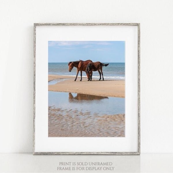 Horse Photography, Wild Horses Photo, Mare Colt Print, Ocean, Beach Cottage Decor, Spanish Mustang, Summer Wall Art Print - Better Together