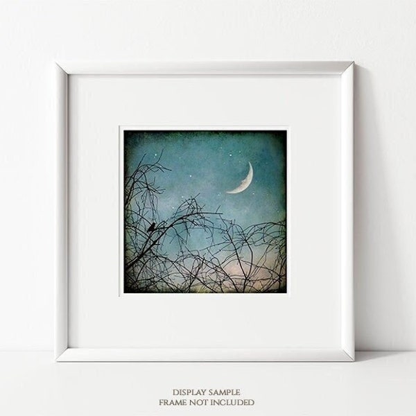 Hello Moon • Man in the Moon Art Print, Little Bird in Tree, Nursery Décor, Dusk Nature Photo, Starry Night, Aqua Teal, Twilight Sky & Stars