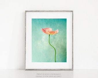 Simply • Pink Poppy Flower Photography, Minimalist Floral Print, Gift for Home, Botanical Photo, Teal Green, Pastel Colors, Nature Wall Art