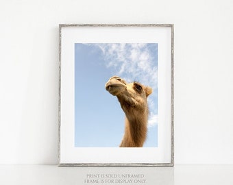 Animal Photography, Camel Print or Canvas, Nursery Decor, Nature Photo, Animal Print, Fair, Black & White, Wildlife, Animal Wall Decor - Moe