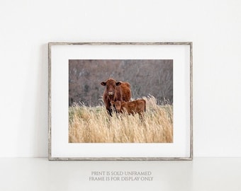 Mother's Love • Mother Cow Calf Photography Print, Mothers Day, Red Angus Photo, Baby or Kids Room Decor, Wall Art, Farm Animal Photograph