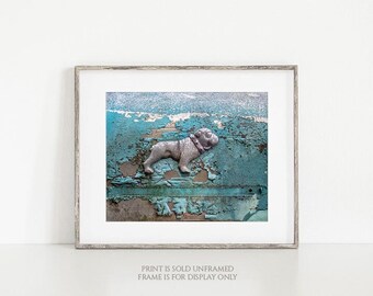 Mack Bulldog • Vintage Truck Emblem Photo, Abandoned Vehicle Photograph, Peeling Paint, Teal Aqua, Old Antique, Large Wall Print, Rustic Art