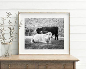 Lean on Me • Cows Photograph, Cattle with Calf Print, Animal Nature Print or Canvas Décor, Black & White Cattle Photography, Large Wall Art