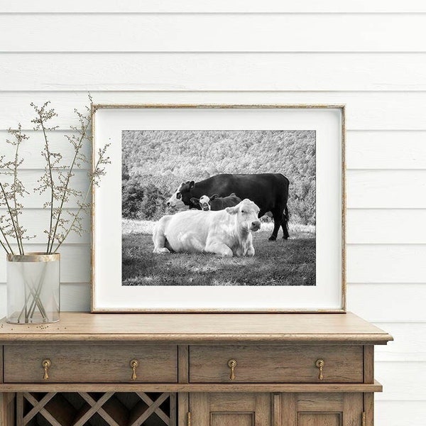 Lean on Me • Cows Photograph, Cattle with Calf Print, Animal Nature Print or Canvas Décor, Black & White Cattle Photography, Large Wall Art