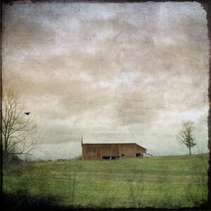 Rural Barn Photography Print or Canvas Art, Country Landscape, Rustic Barn Photo, Square, Farmhouse Art, Country Decor, Weathered, Moody image 1