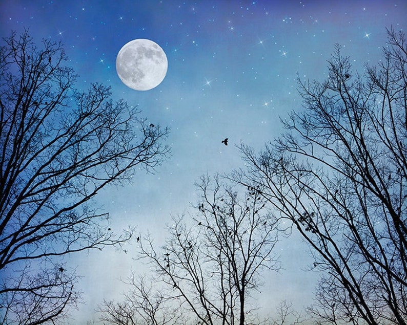 Moon Dreams Full Moon Stars & Winter Trees Print, Black Birds, Blue Sky, Dreamy Night, Large Wall Art, Celestial Nursery Décor, Twilight image 2