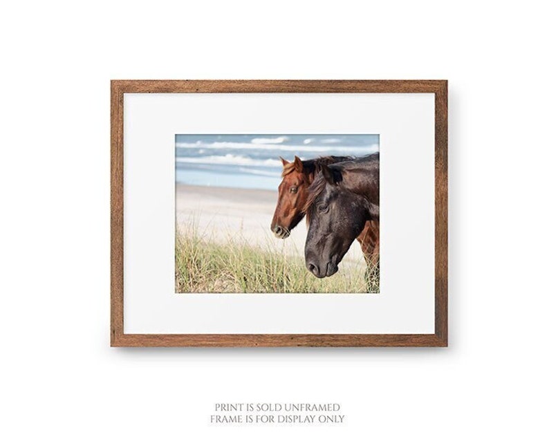 The Wild Pair Horses on the Beach Photography, Wild Spanish Mustangs Photograph, Room Decor, Large Wall Art, OBX Photo, Outer Banks Print image 2