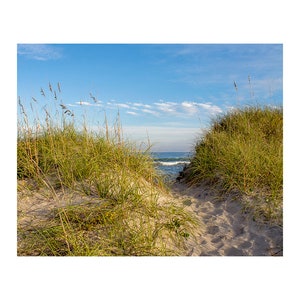 Afternoon in Avon Walkway to the Ocean Photograph, Path to the Beach Print, Ocean Waves, Coastal Art, Dunes, Sea Grass, OBX Nautical Photo image 2