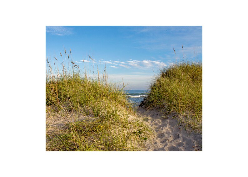 Afternoon in Avon Walkway to the Ocean Photograph, Path to the Beach Print, Ocean Waves, Coastal Art, Dunes, Sea Grass, OBX Nautical Photo image 2