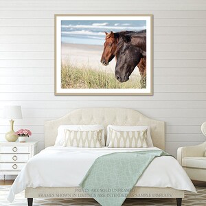 The Wild Pair Horses on the Beach Photography, Wild Spanish Mustangs Photograph, Room Decor, Large Wall Art, OBX Photo, Outer Banks Print image 5