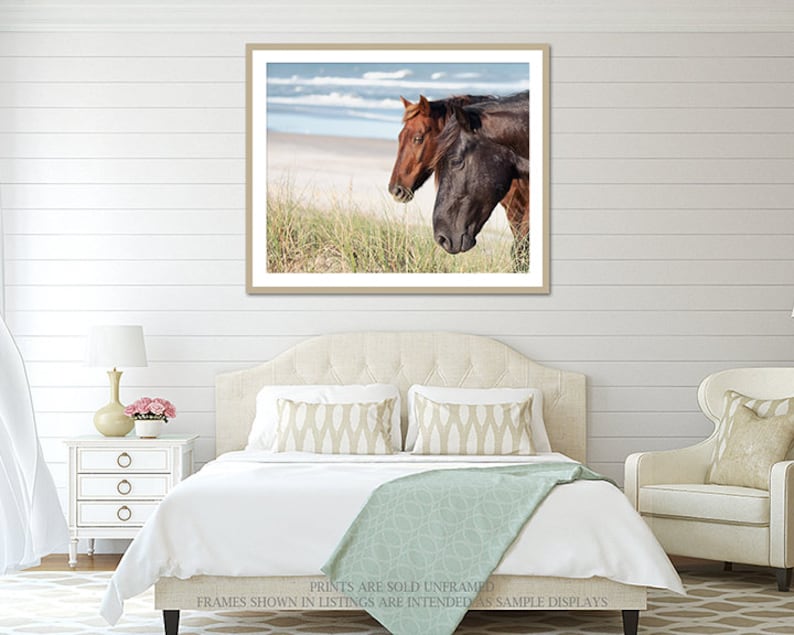 The Wild Pair Horses on the Beach Photography, Wild Spanish Mustangs Photograph, Room Decor, Large Wall Art, OBX Photo, Outer Banks Print image 5