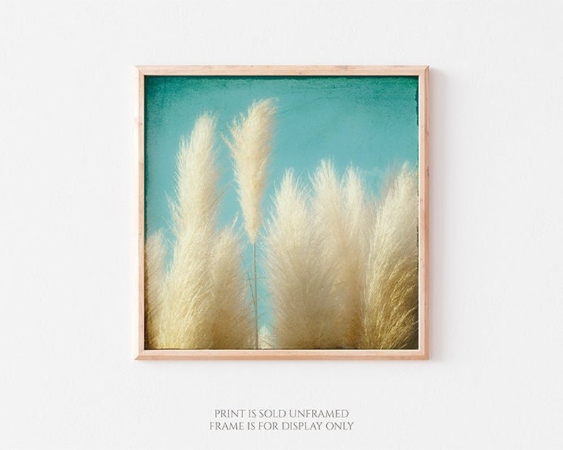 Nature Photography, Botanical Art Print or Canvas, Nature Wall Art, Beach Sea Grass Art, Pampas Grass, Square, Coastal Wall Decor Soft image 2