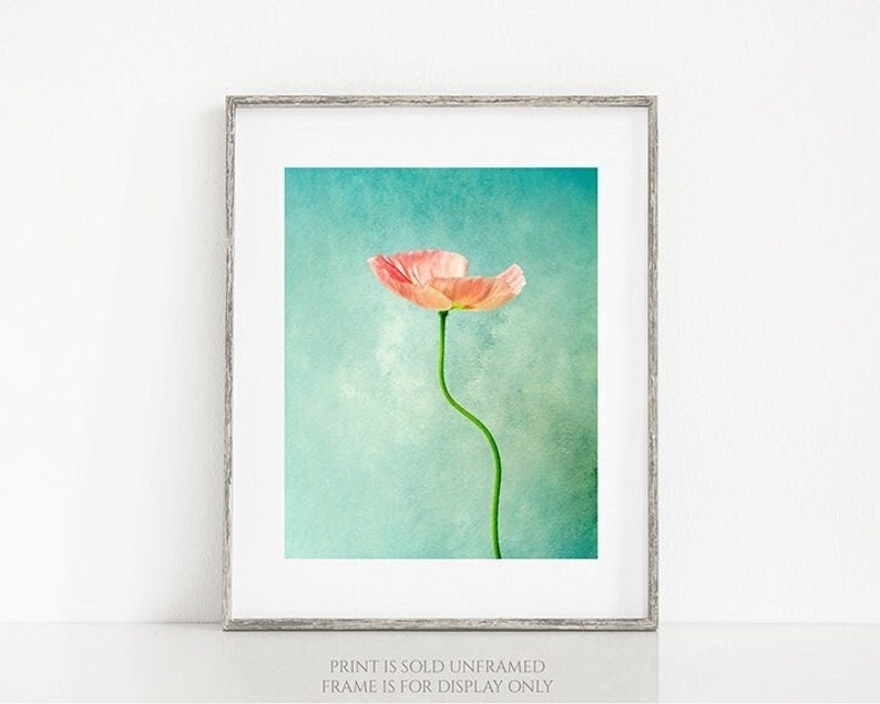 Simply Pink Poppy Flower Photography, Minimalist Floral Print, Gift for Home, Botanical Photo, Teal Green, Pastel Colors, Nature Wall Art image 1