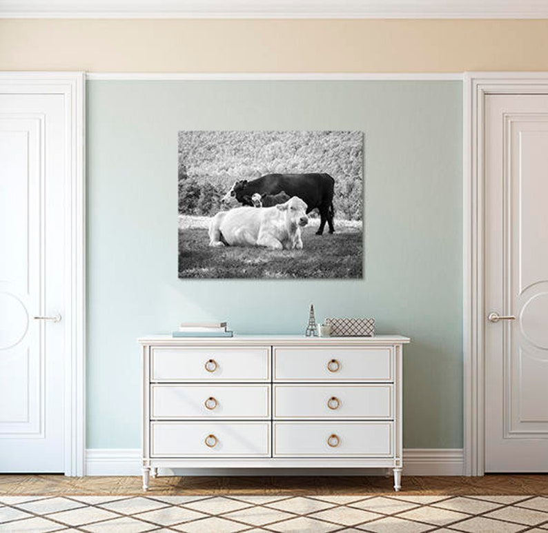 Lean on Me Cows Photograph, Cattle with Calf Print, Animal Nature Print or Canvas Décor, Black & White Cattle Photography, Large Wall Art image 3