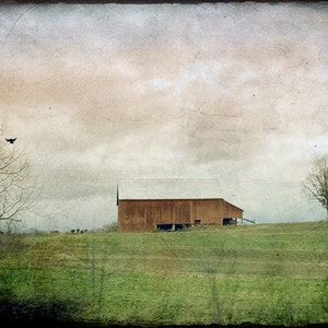 Rural Barn Photography Print or Canvas Art, Country Landscape, Rustic Barn Photo, Square, Farmhouse Art, Country Decor, Weathered, Moody image 2