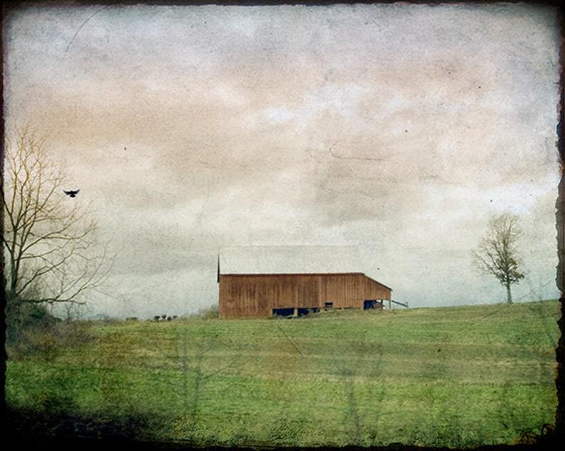 Rural Barn Photography Print or Canvas Art, Country Landscape, Rustic Barn Photo, Square, Farmhouse Art, Country Decor, Weathered, Moody image 2
