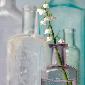 Flower Photography, Print or Canvas, Floral Art, White Flowers, Glass Bottles, Nature, Botanical Print, Spring Decor Lily of the Valley image 2