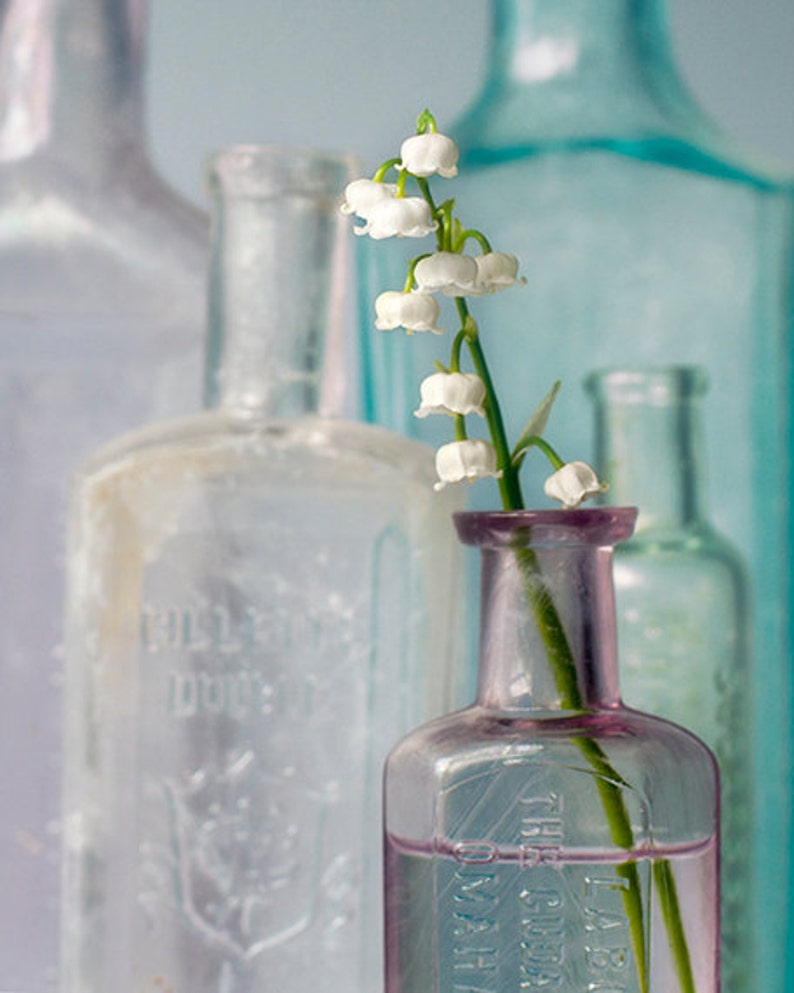 Flower Photography, Print or Canvas, Floral Art, White Flowers, Glass Bottles, Nature, Botanical Print, Spring Decor Lily of the Valley image 2