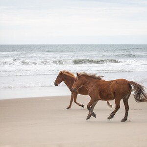 Horse Photo, Wild Horse Art, Print or Canvas, Large Wall Decor, Rustic Art, Animal Photograph, Spanish Mustangs, Beach Ocean Running Wild image 2