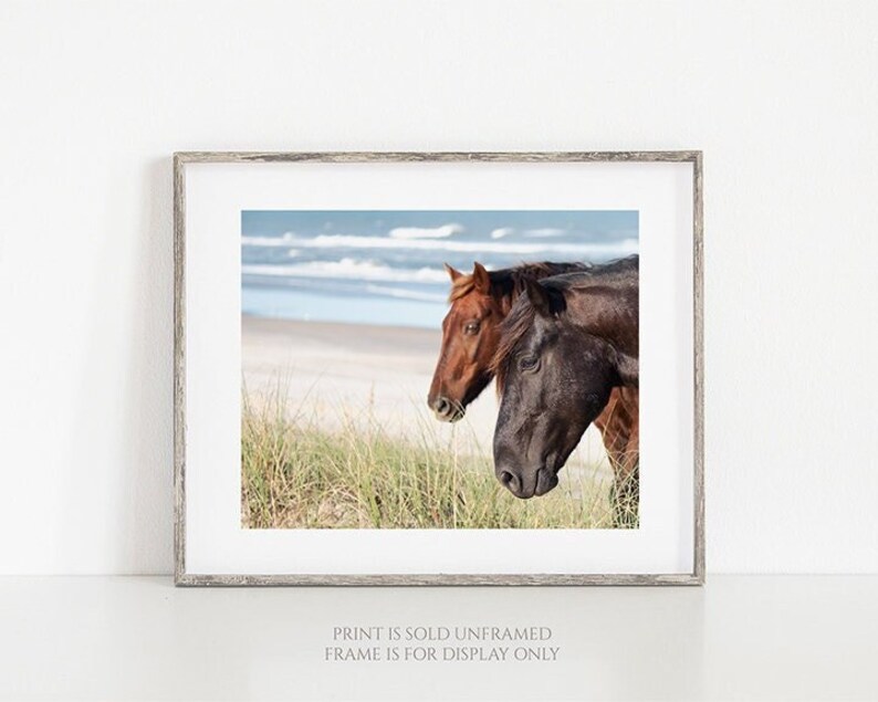 The Wild Pair Horses on the Beach Photography, Wild Spanish Mustangs Photograph, Room Decor, Large Wall Art, OBX Photo, Outer Banks Print image 1