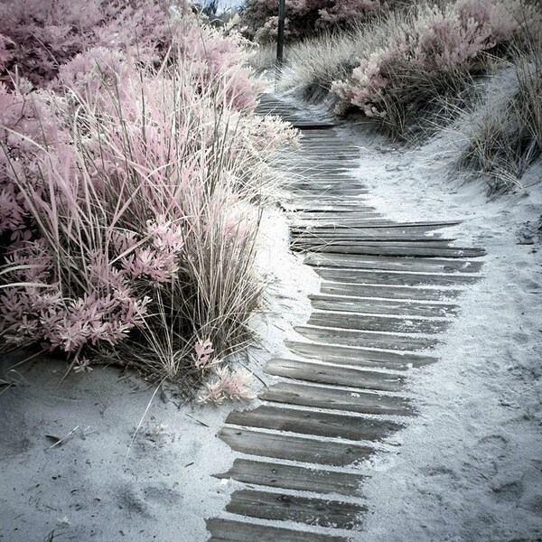 walkway to the sea II  - 8x10 - fine art photograph