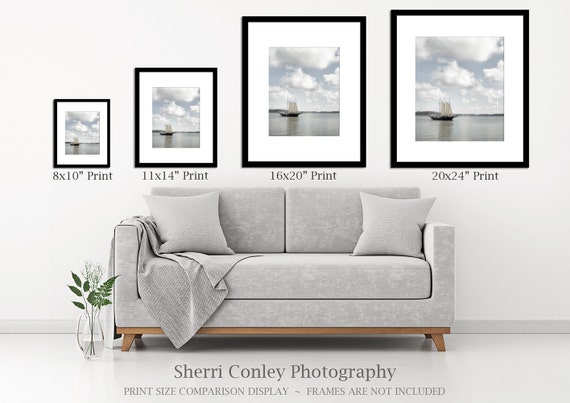 Animal Photography Alpaca Print Or Canvas Black White Art Etsy