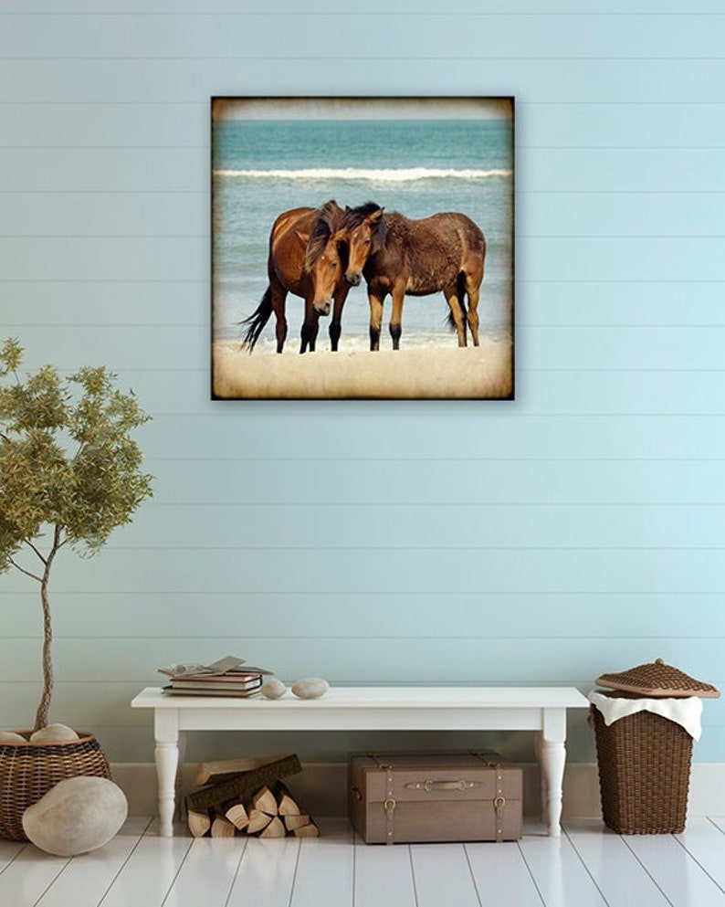 Mare & Colt Wild Horses on Beach, Coastal Décor for Home, Mustangs Photography, Print or Canvas Art, Mustangs, Ocean, Beach Cottage Decor image 3